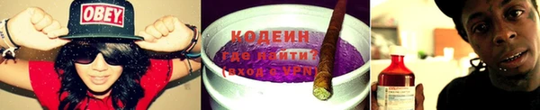 шишки Нязепетровск