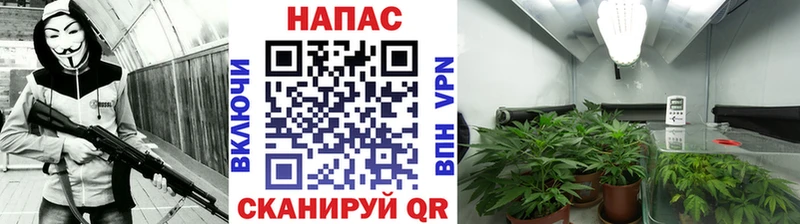 закладка  blacksprut как войти  Бошки марихуана ГИДРОПОН  Кириллов 